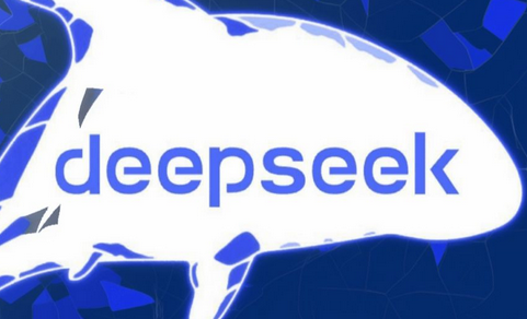 deepseek快速上手使用技巧指南