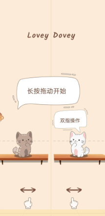 猫咪养成日记