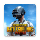 pubg亚服手游官方最新版下载安装-pubg亚服(PUBG MOBILE)地铁逃生手游v3.4.0