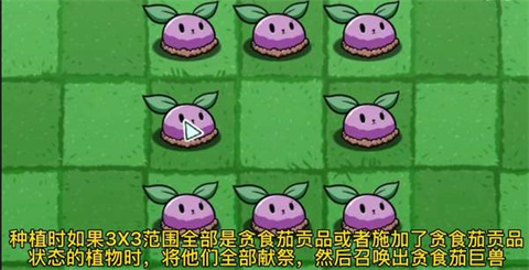 PVZBT官方版