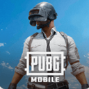 和平精英国际服官方正版下载安装-pubg和平精英国际服官方正版2025年最新v3.6.0