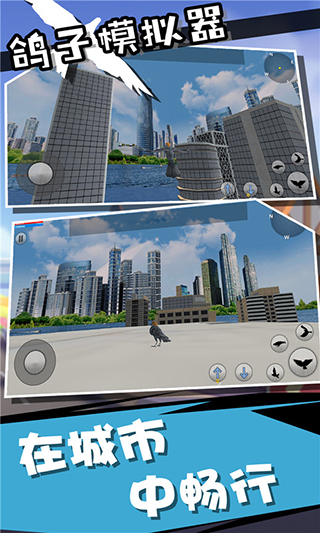鸽子模拟器正版