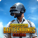 pubgmobile官方正版下载入口-pubgmobile官方正版国际服最新v3.4.0